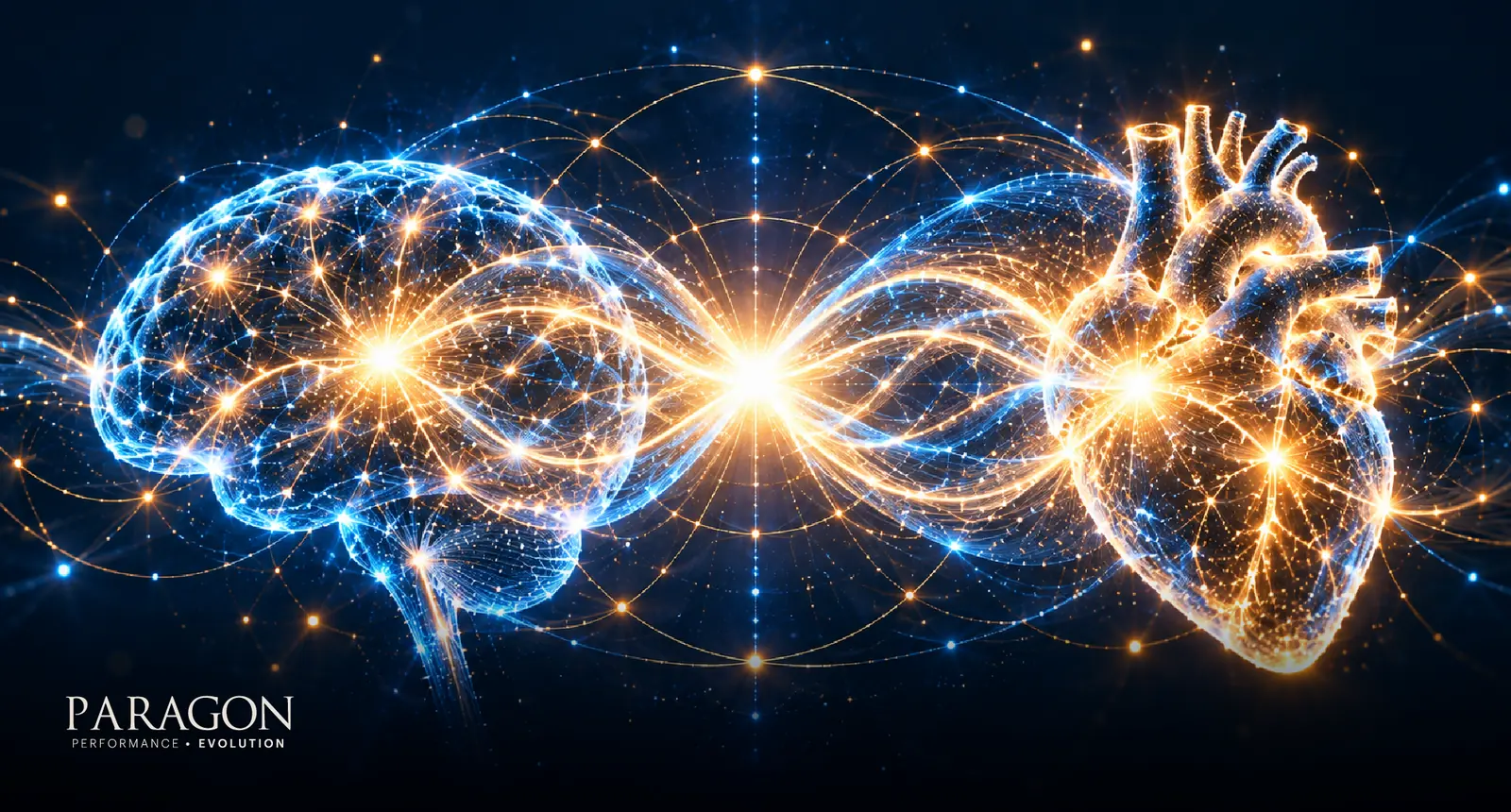 Glowing brain and heart connected by light, representing heart-brain coherence