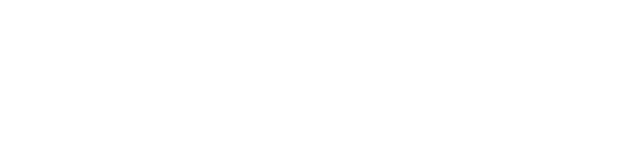 Paragon Performance Evolution